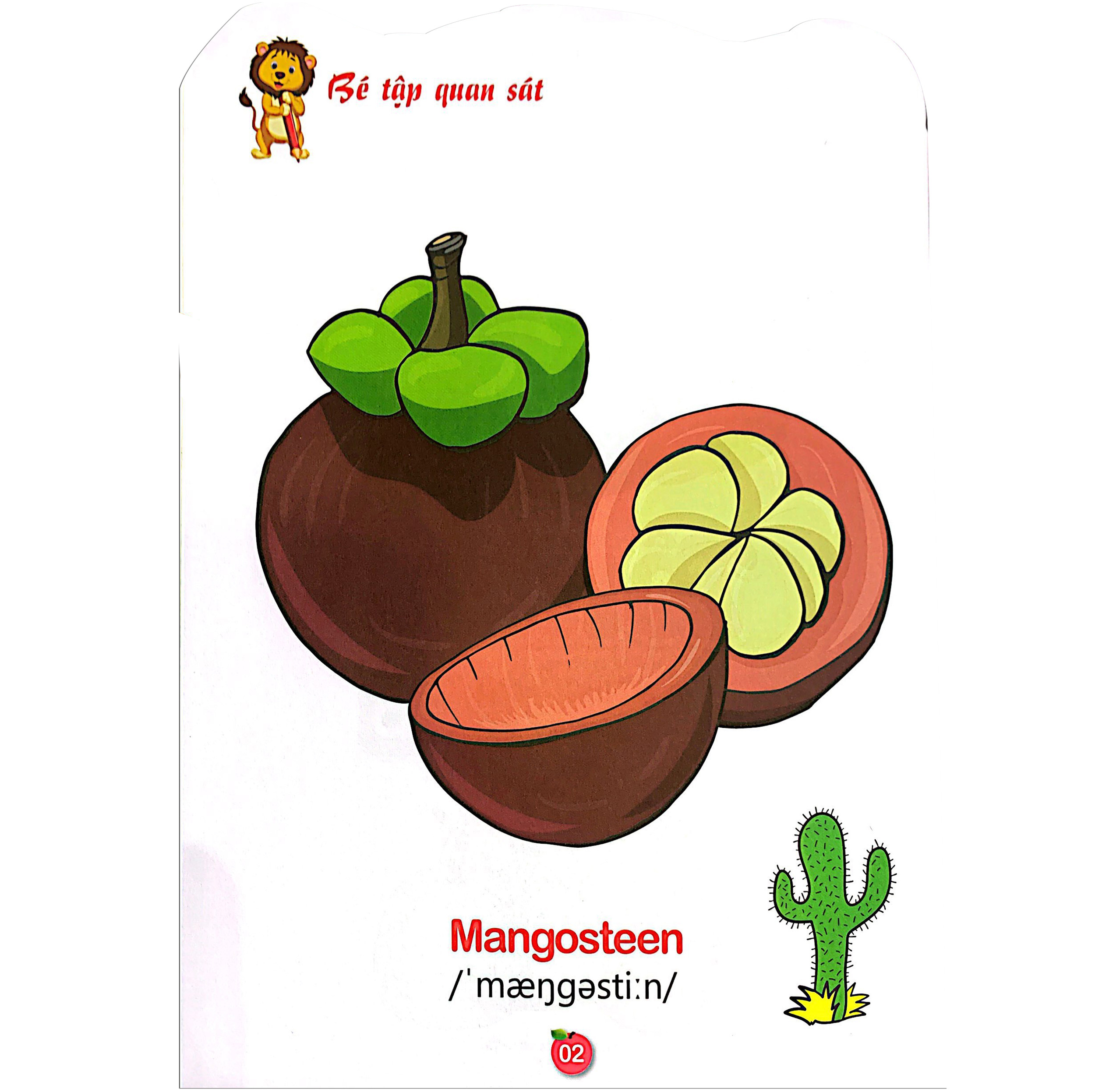 bộ tô màu rau - củ - quả - tập 5 (song ngữ anh - việt) - Ảnh 3