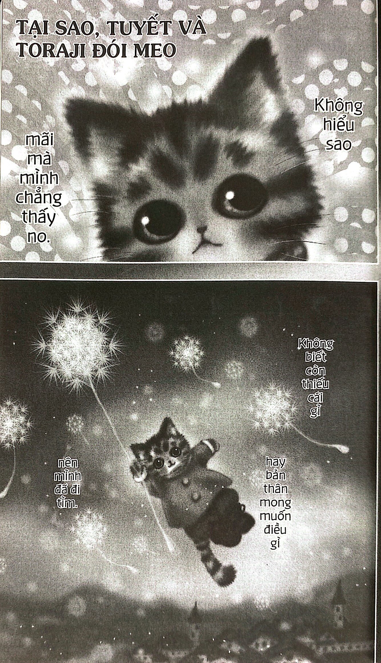 bộ toraji phiêu lưu kí - tập 12 - Ảnh 5