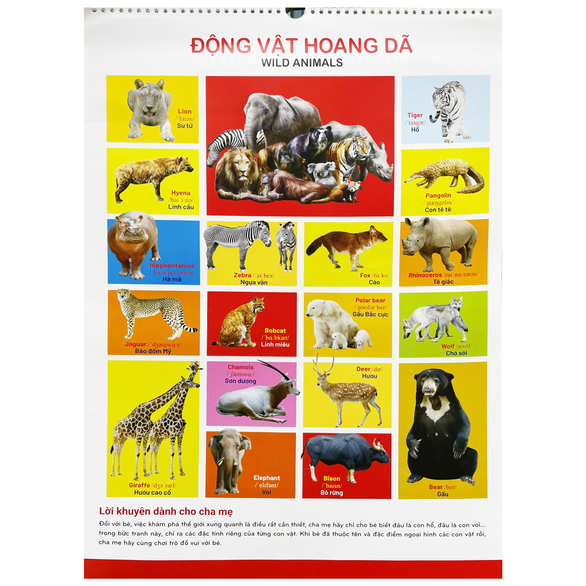 Bộ Tranh Treo Tường Cho Bé (Dành Cho Bé Từ 2 Đến 6 Tuổi) - Ảnh 3