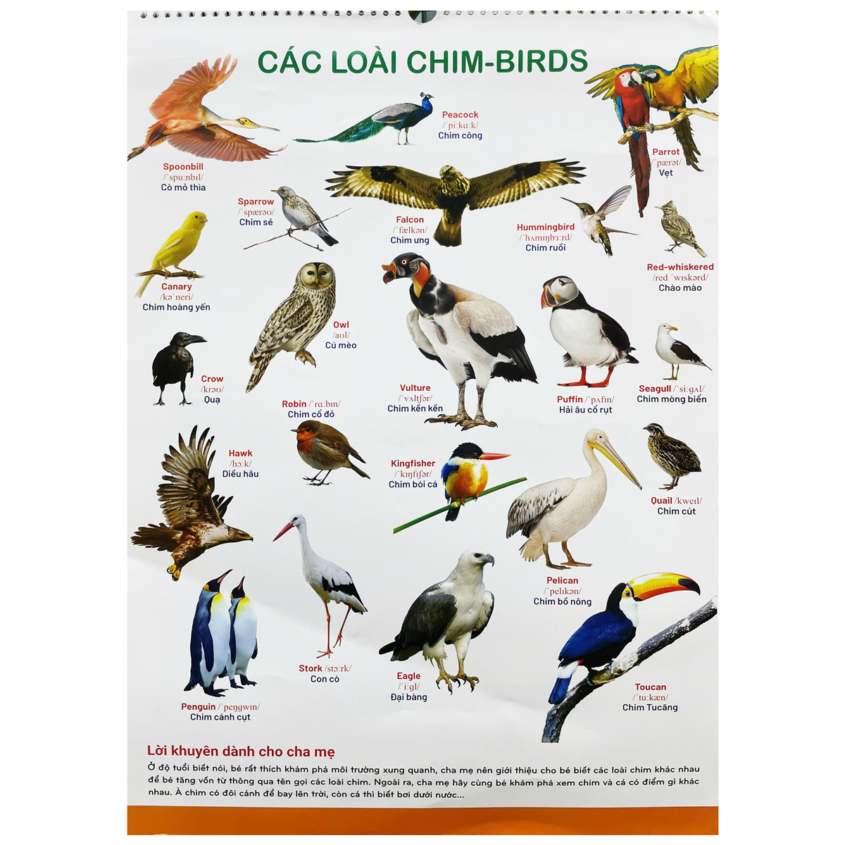 Bộ Tranh Treo Tường Cho Bé (Dành Cho Bé Từ 2 Đến 6 Tuổi) - Ảnh 6