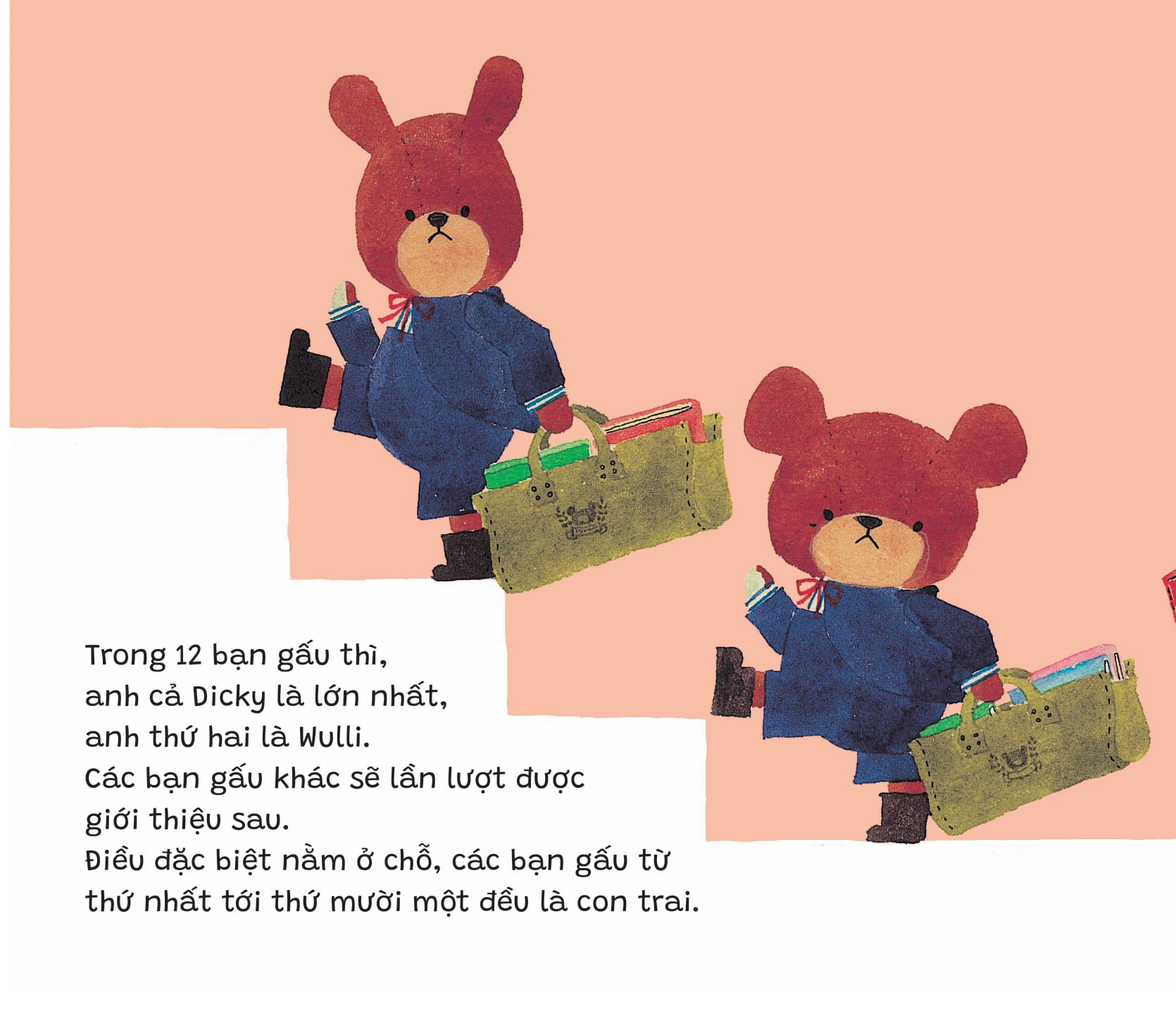 bộ trường học của gấu - Ảnh 4