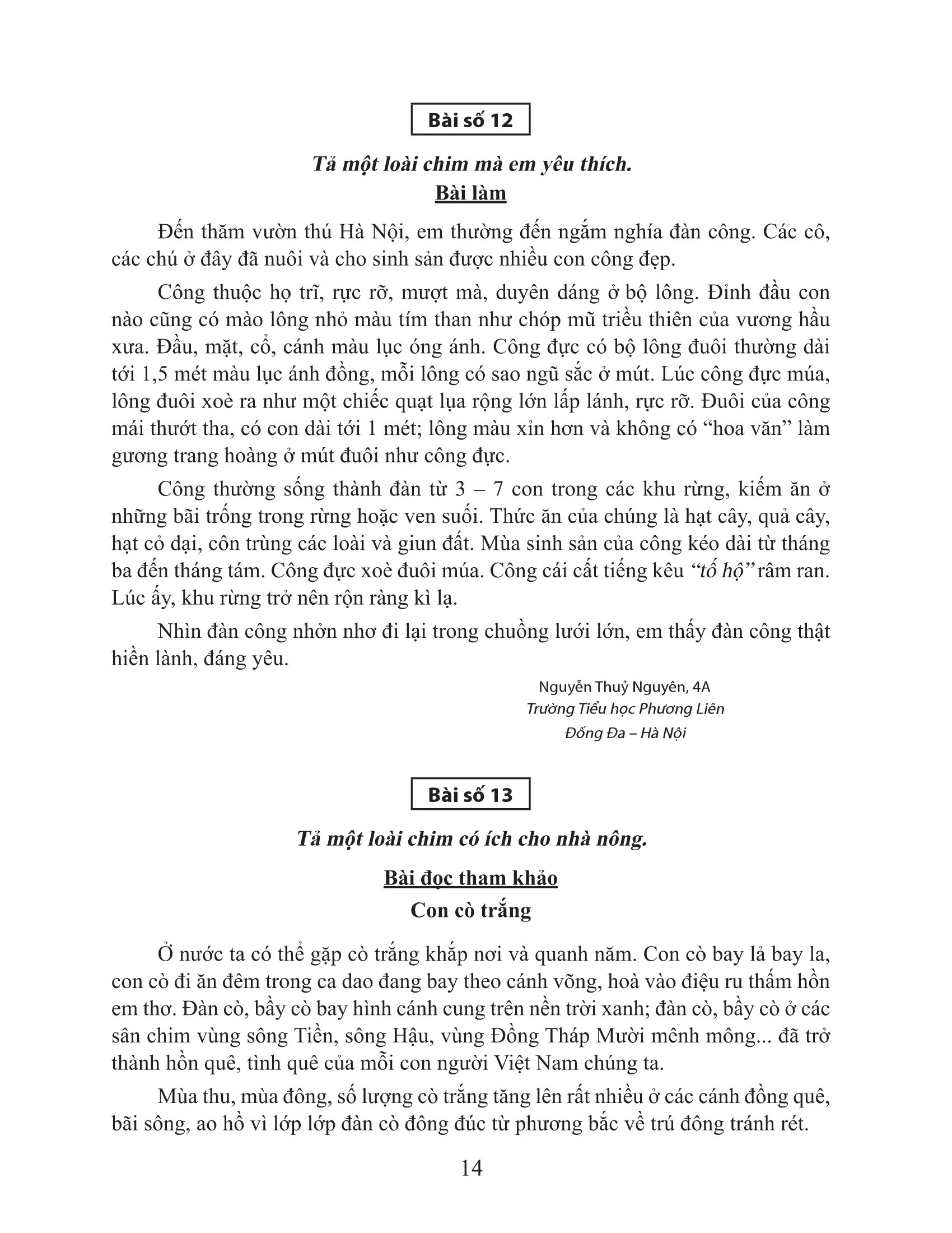 bộ tuyển chọn những bài văn miêu tả 4 - Ảnh 14