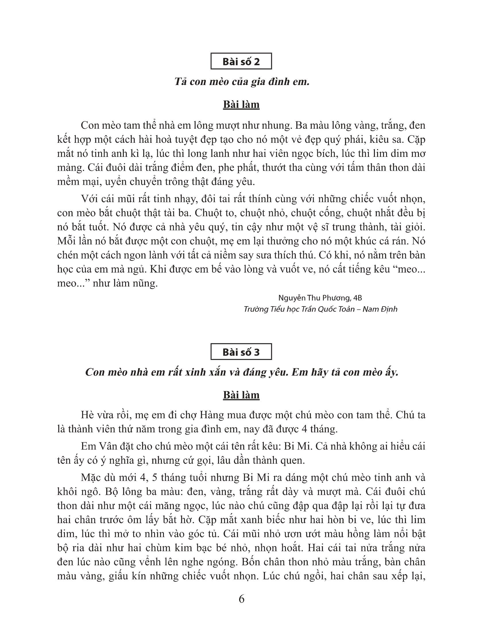 bộ tuyển chọn những bài văn miêu tả 4 - Ảnh 6