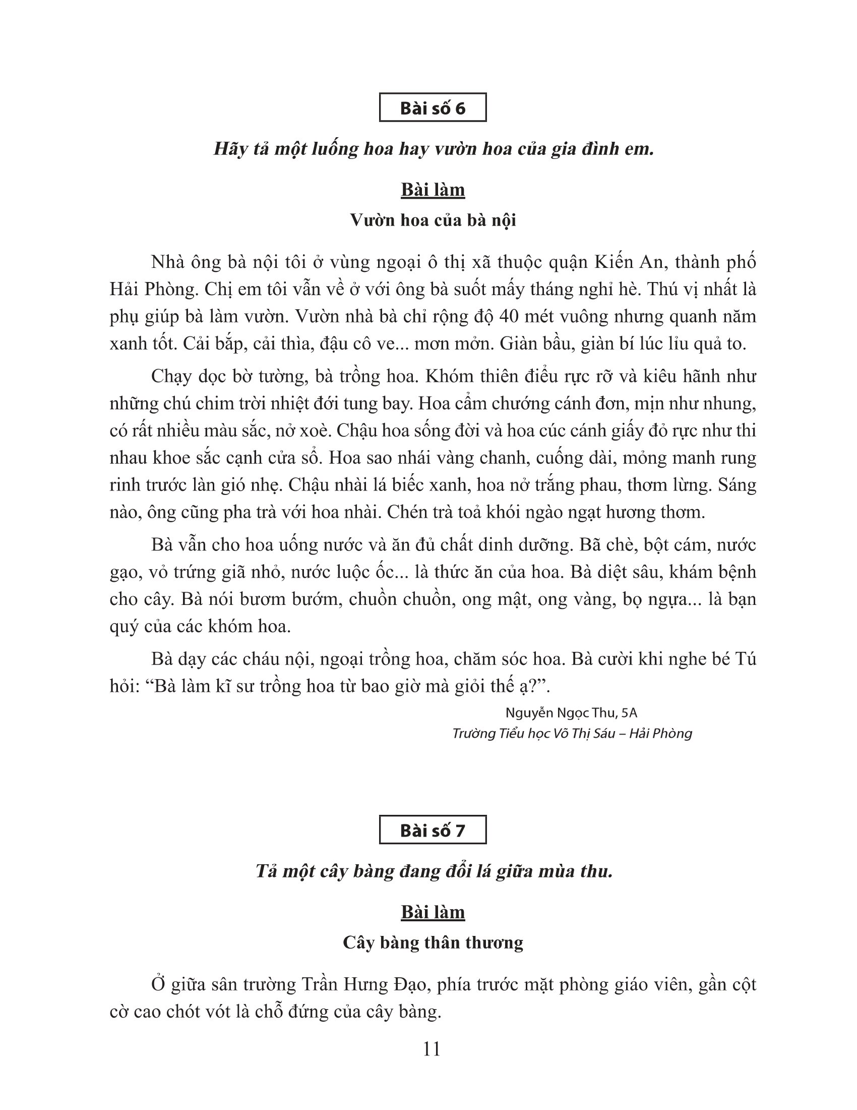 bộ tuyển chọn những bài văn miêu tả 5 - Ảnh 10