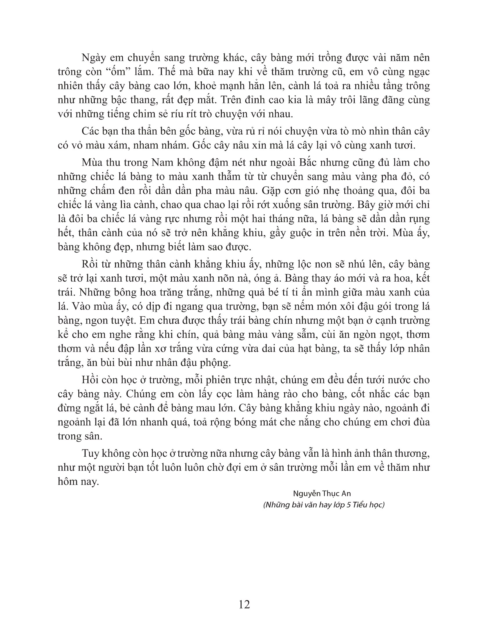 bộ tuyển chọn những bài văn miêu tả 5 - Ảnh 11