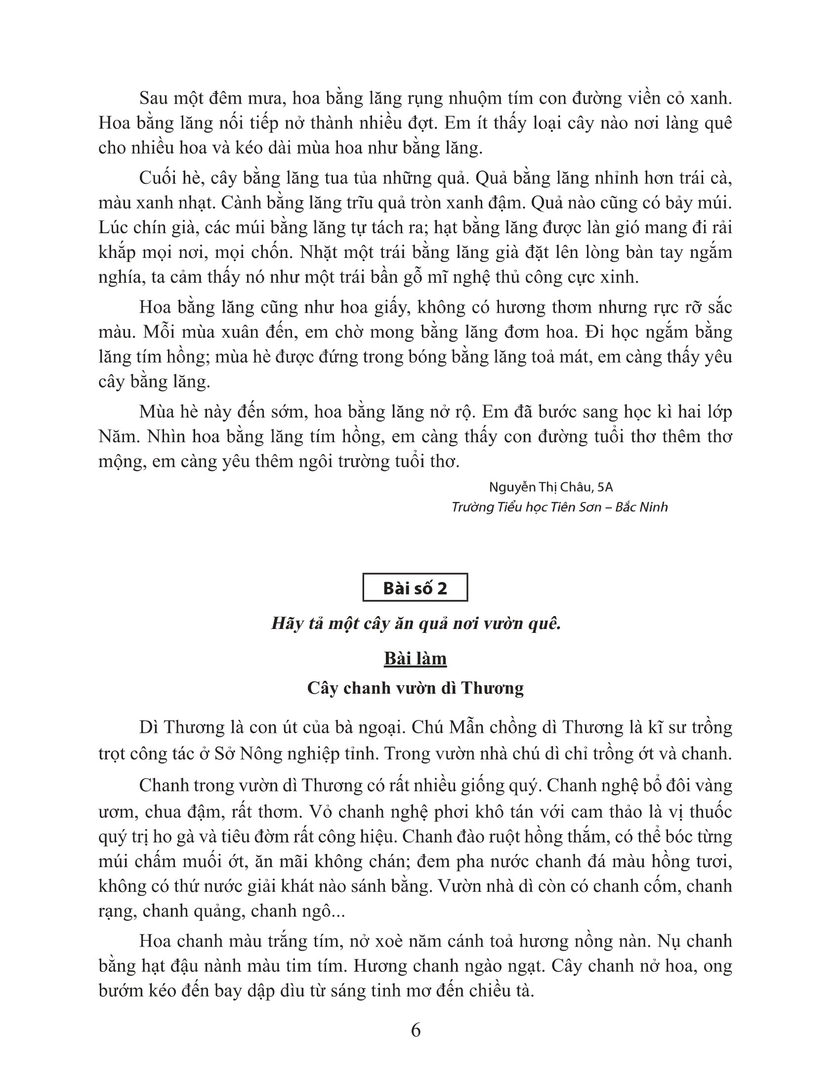 bộ tuyển chọn những bài văn miêu tả 5 - Ảnh 5