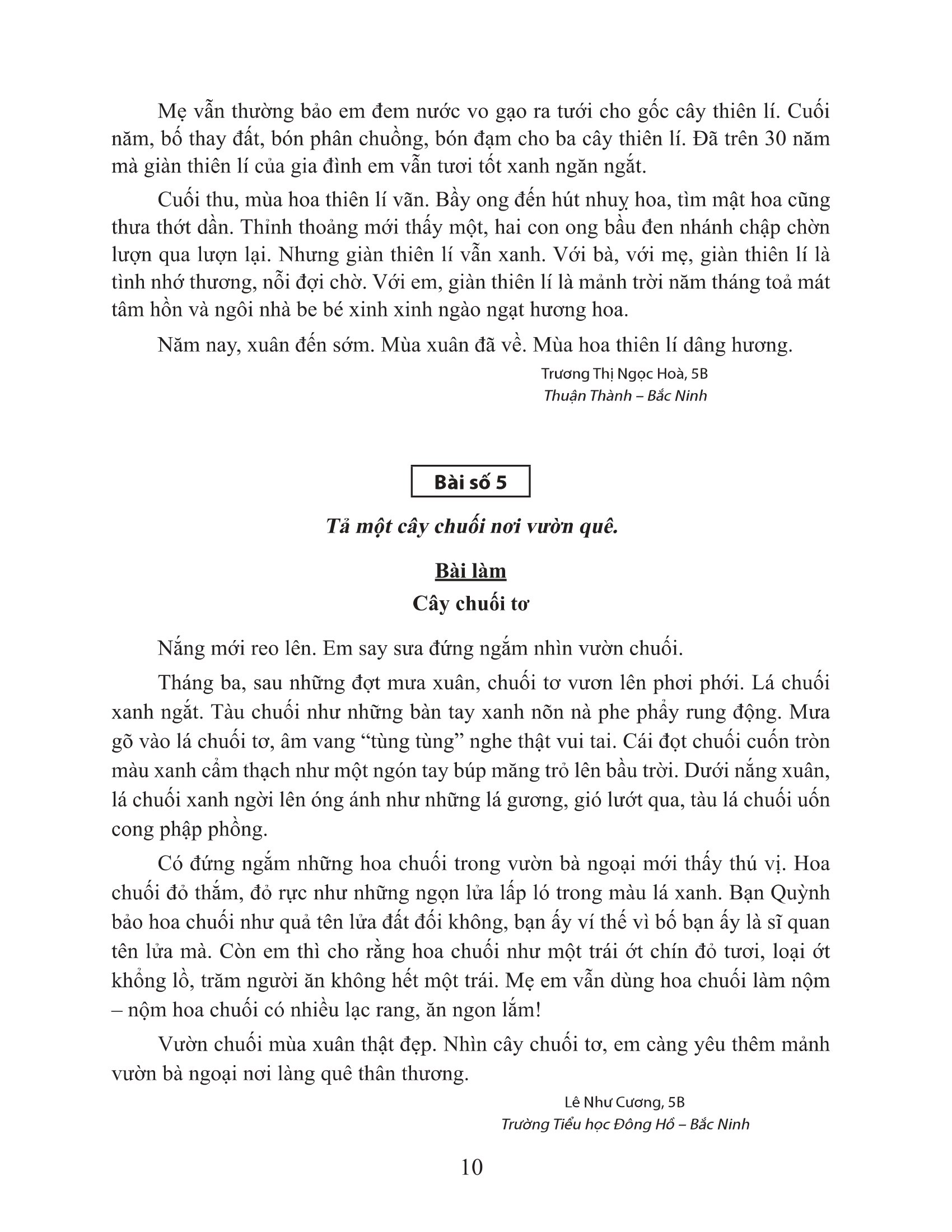 bộ tuyển chọn những bài văn miêu tả 5 - Ảnh 9