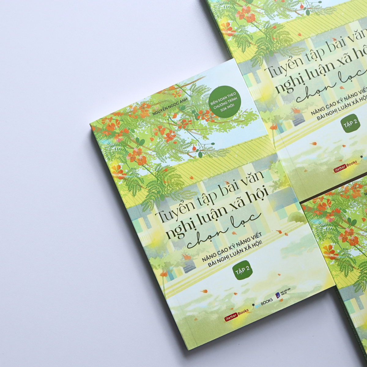 Bộ Tuyển Tập Bài Văn Nghị Luận Xã Hội Chọn Lọc - Nâng Cao Kỹ Năng Viết Bài Nghị Luận Xã Hội - Tập 2 - Ảnh 5
