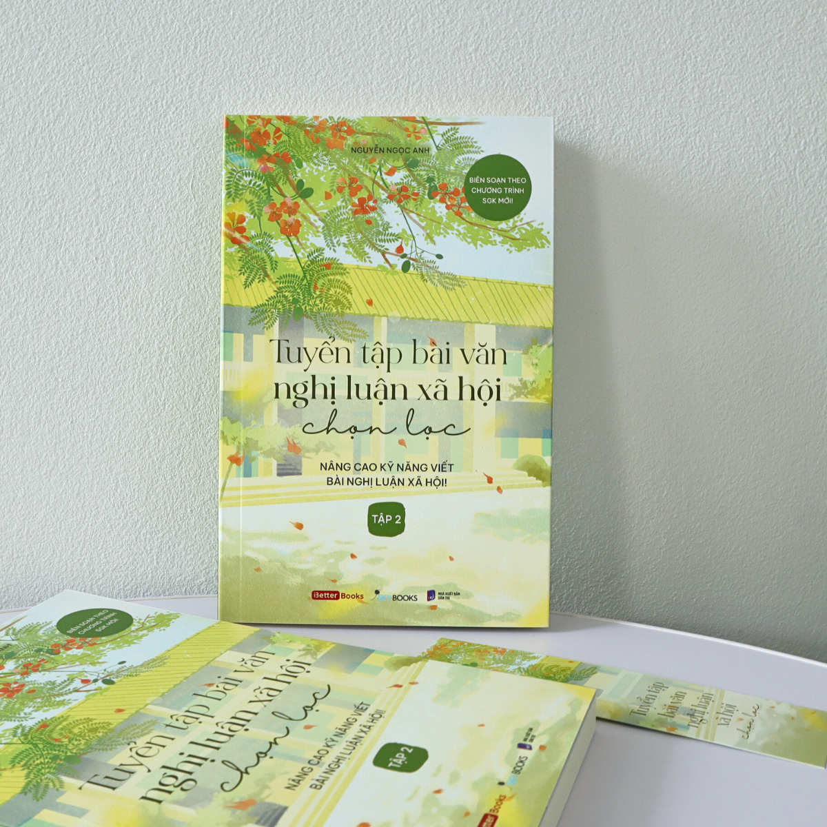 Bộ Tuyển Tập Bài Văn Nghị Luận Xã Hội Chọn Lọc - Nâng Cao Kỹ Năng Viết Bài Nghị Luận Xã Hội - Tập 2 - Ảnh 6