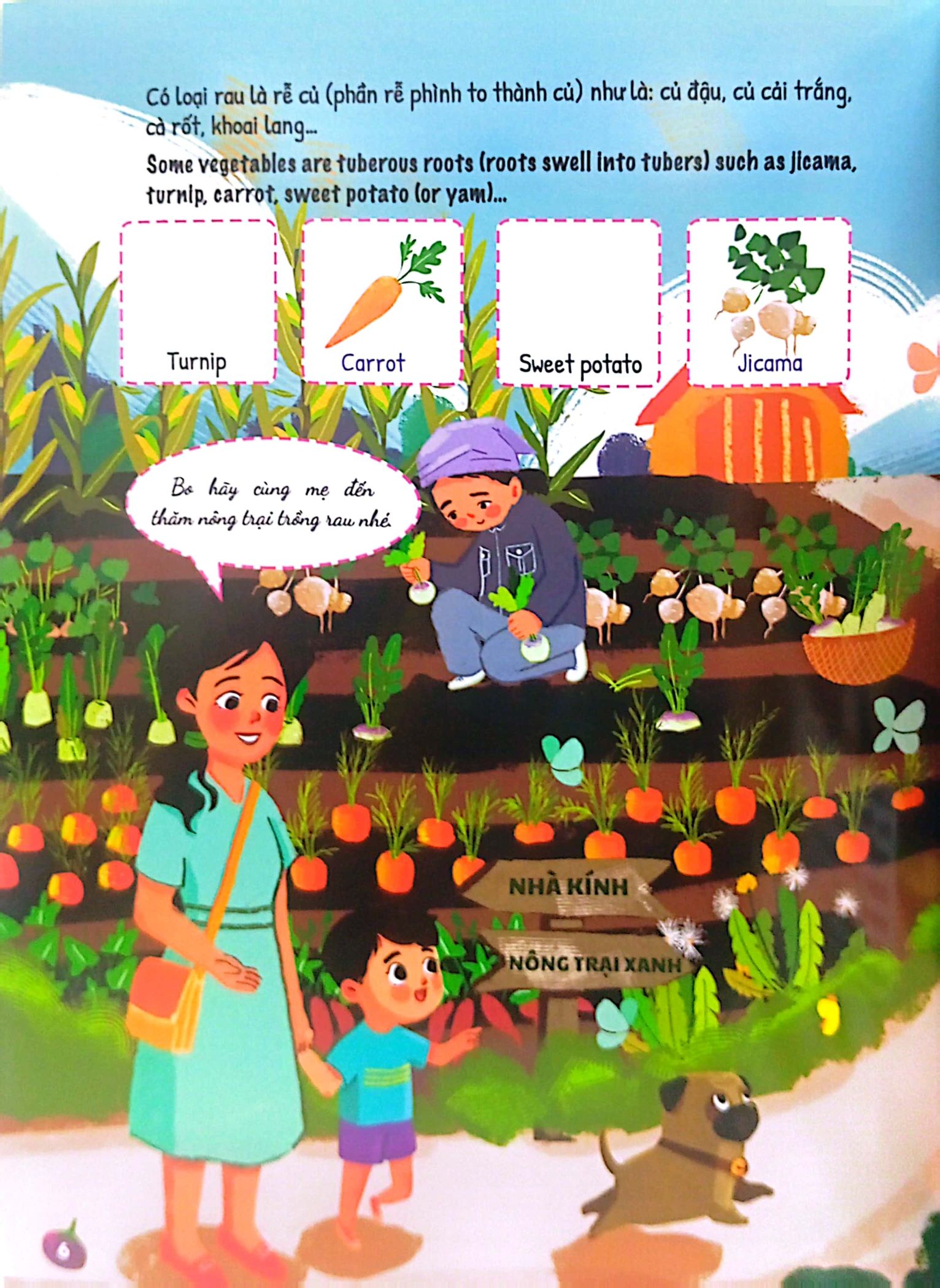 bộ ứ ừ con ghét - tập 4: hóa ra rau không đáng ghét, mẹ nhỉ? - Ảnh 5