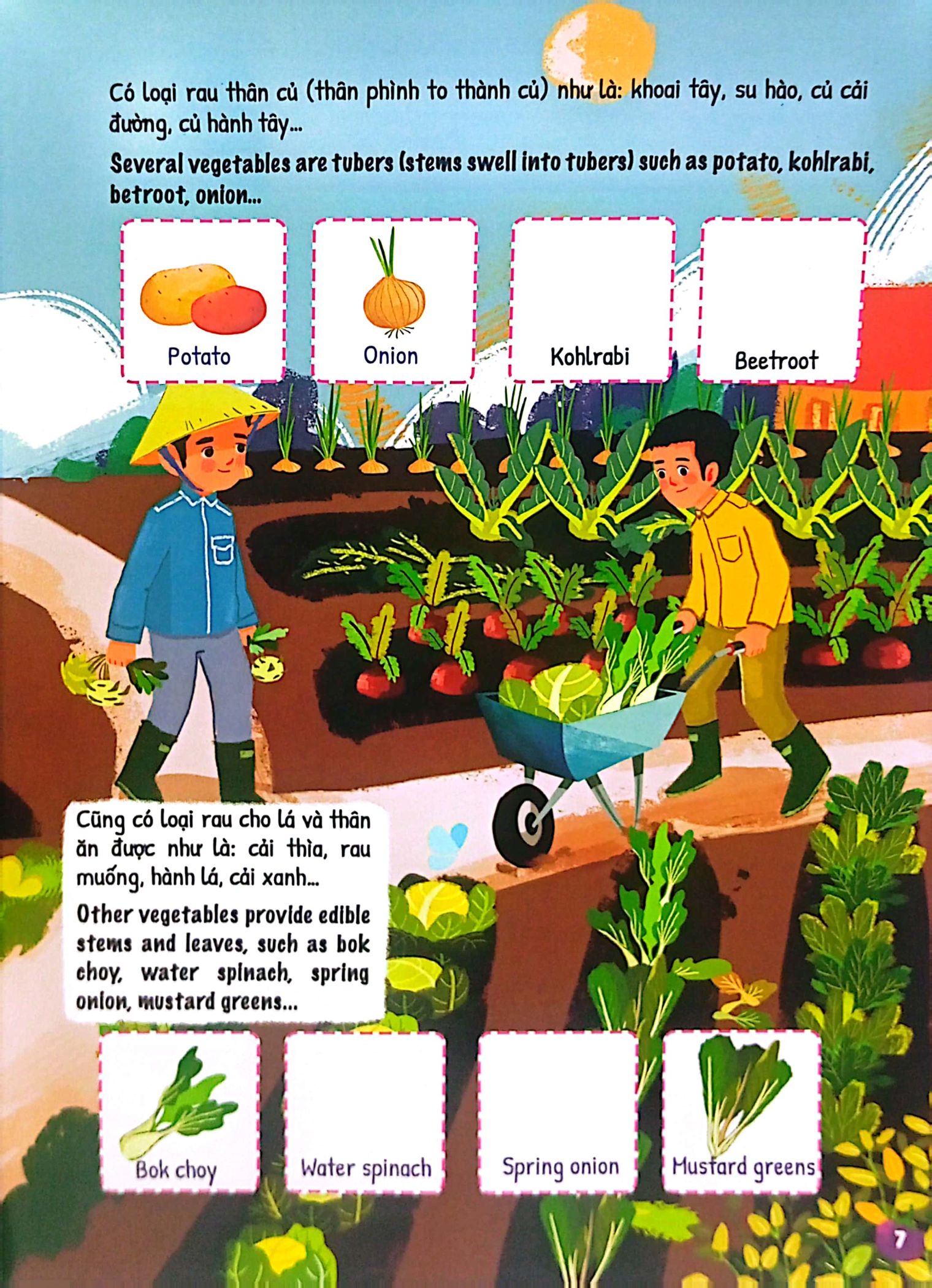 bộ ứ ừ con ghét - tập 4: hóa ra rau không đáng ghét, mẹ nhỉ? - Ảnh 6