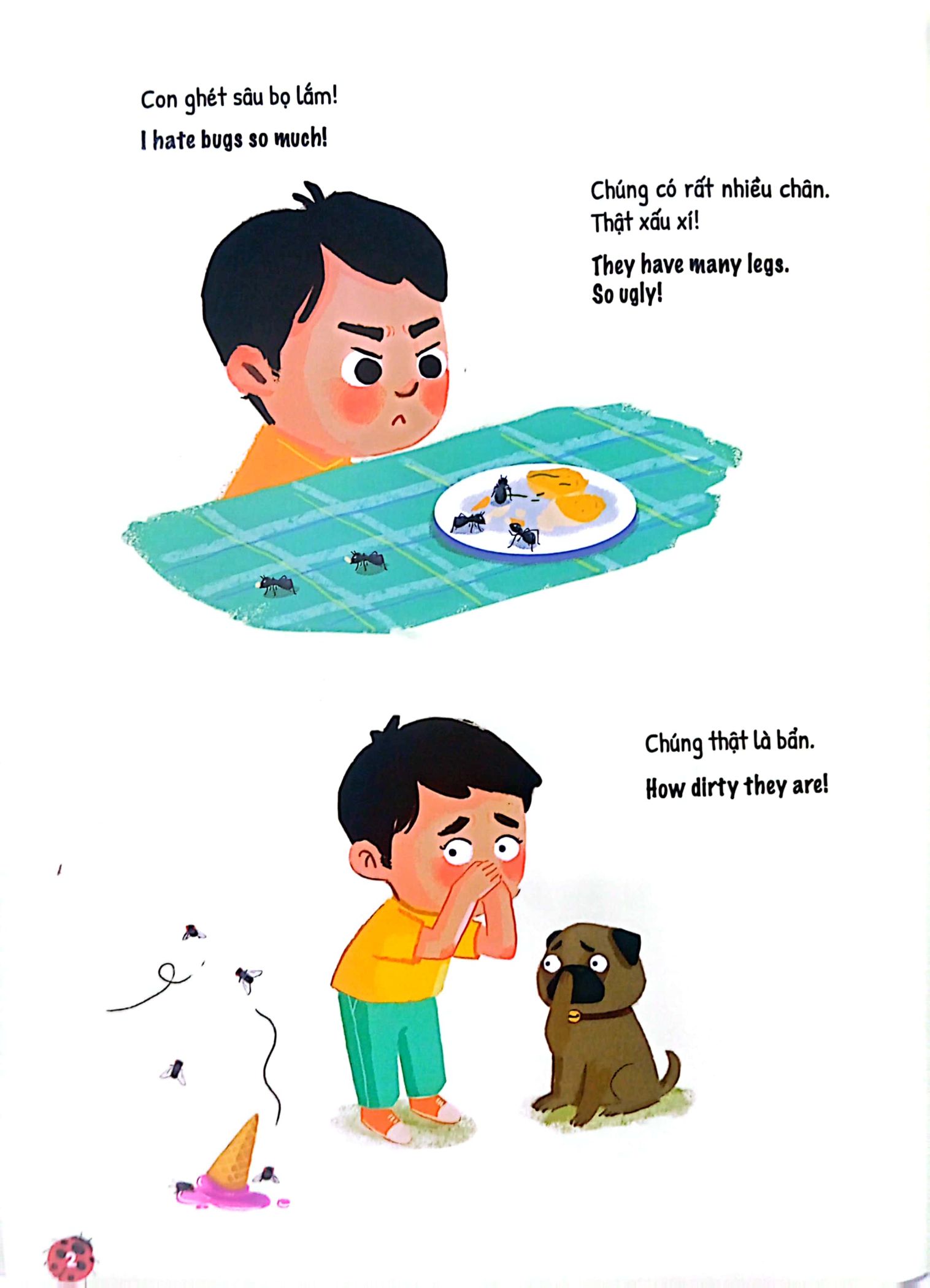 bộ ứ ừ con ghét - tập 5: hóa ra côn trùng không đáng ghét, mẹ nhỉ? - Ảnh 3