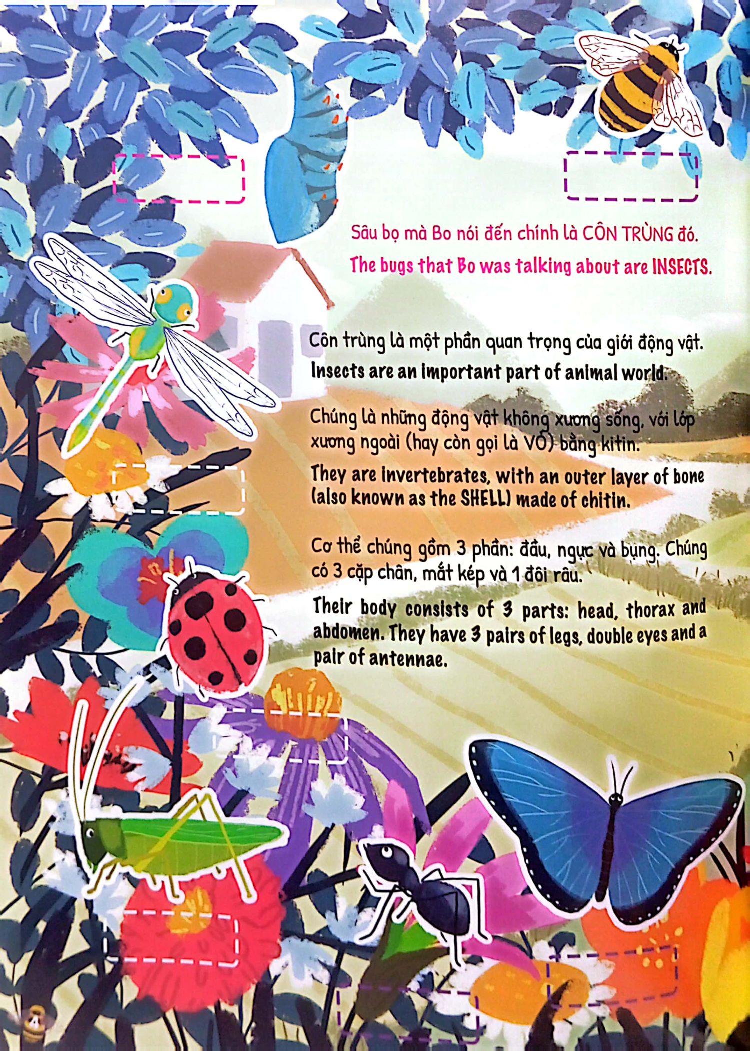 bộ ứ ừ con ghét - tập 5: hóa ra côn trùng không đáng ghét, mẹ nhỉ? - Ảnh 5