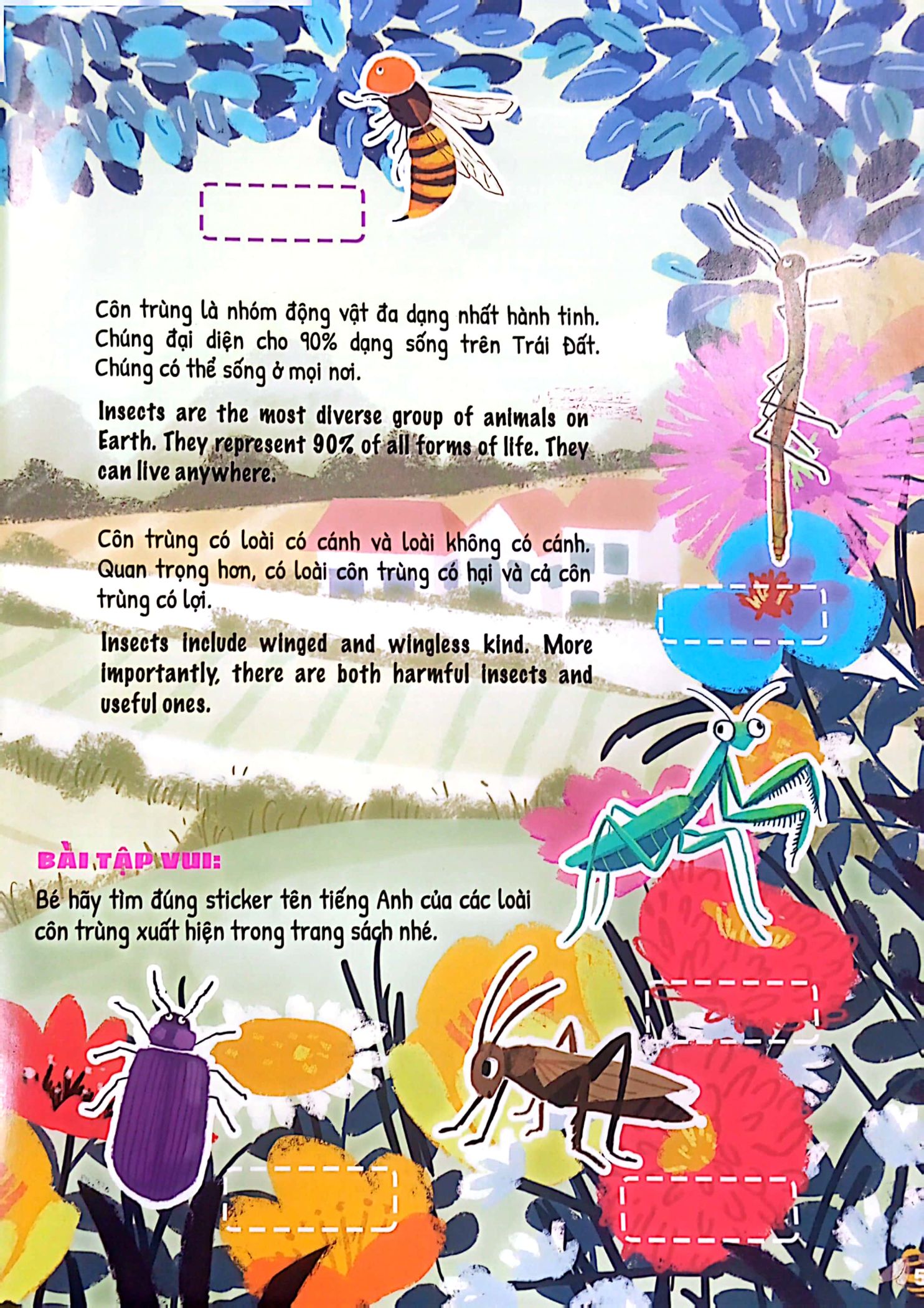 bộ ứ ừ con ghét - tập 5: hóa ra côn trùng không đáng ghét, mẹ nhỉ? - Ảnh 6