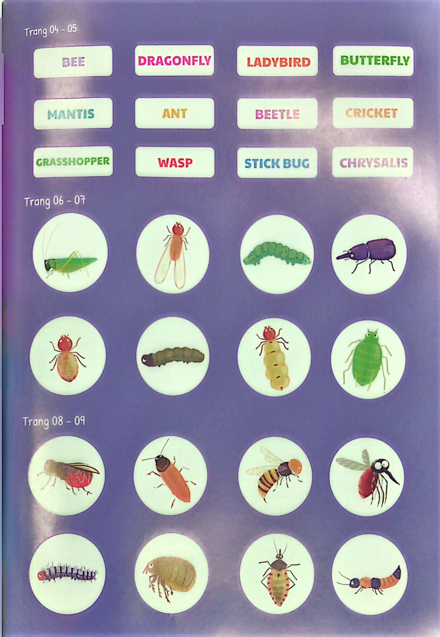 bộ ứ ừ con ghét - tập 5: hóa ra côn trùng không đáng ghét, mẹ nhỉ? - Ảnh 7