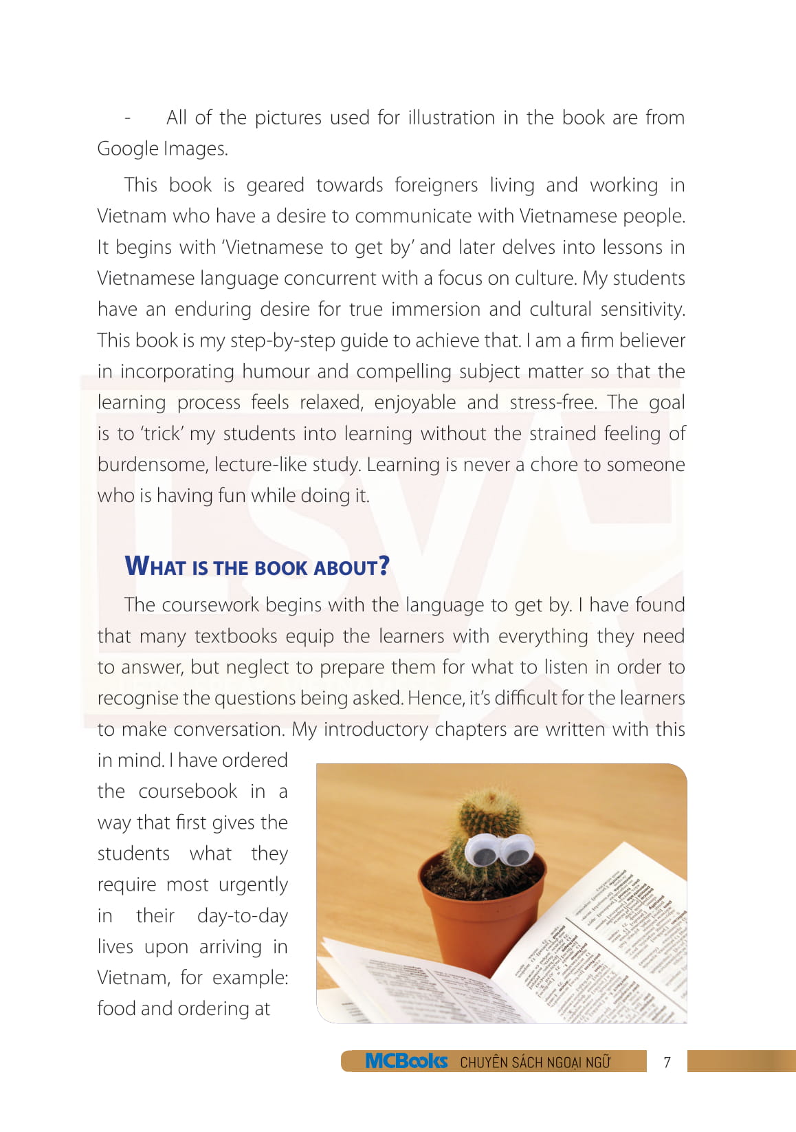 bộ useful vietnamese for expats 3 - Ảnh 6