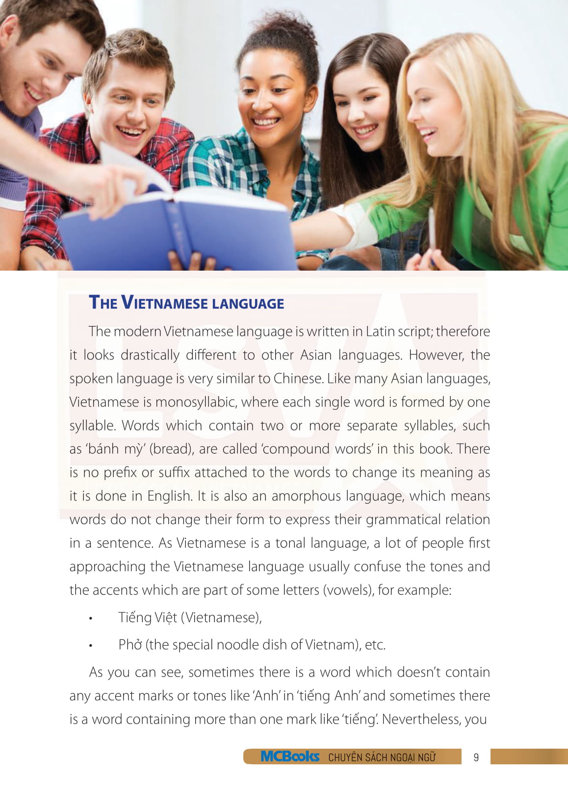 bộ useful vietnamese for expats 3 - Ảnh 8