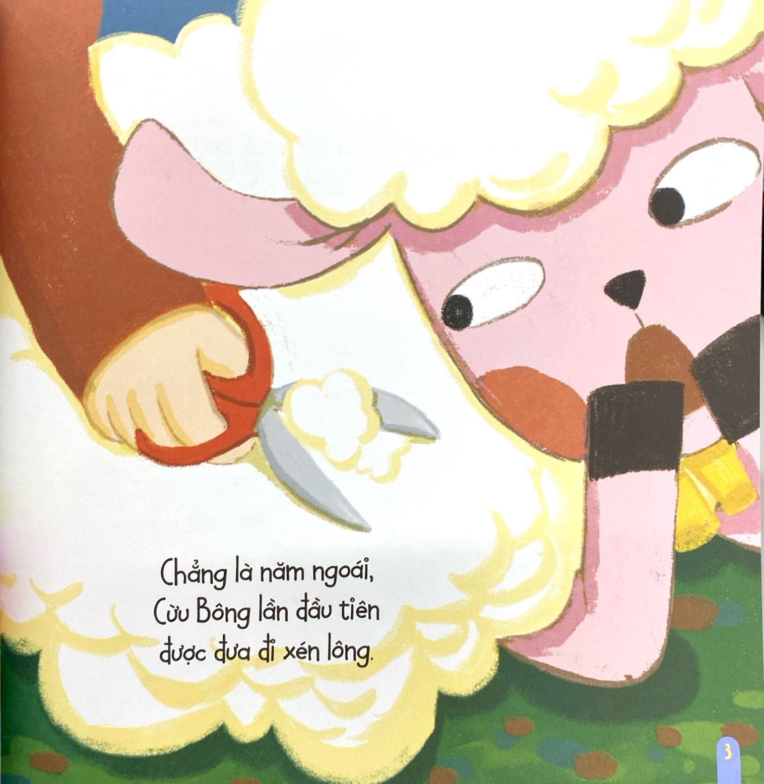 Bộ Vì Sao Lại Thế ? - Bộ Lông Cừu Bông - Tập 11 - Ảnh 4