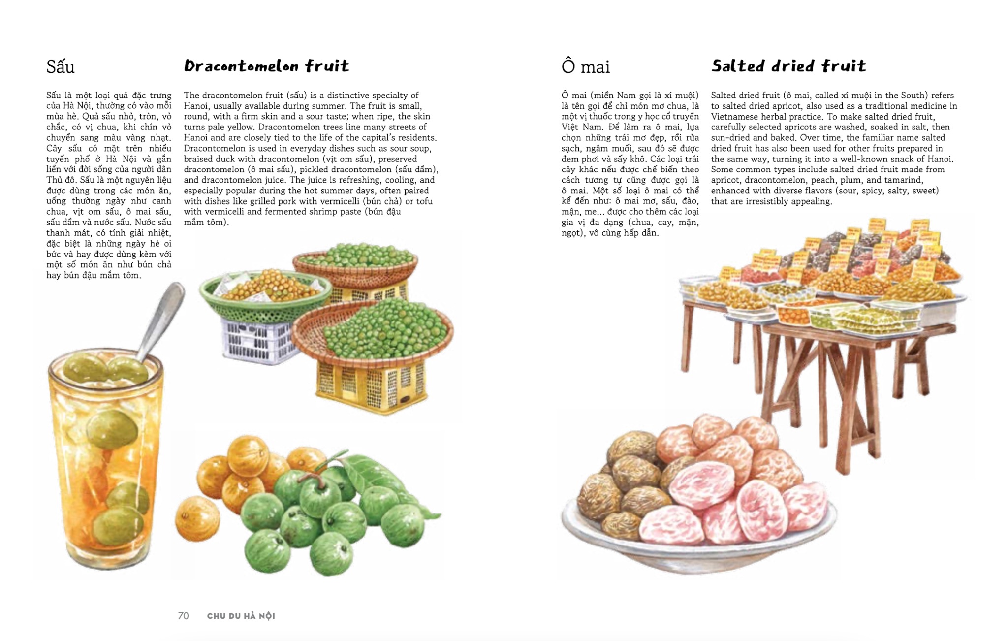 Bộ Việt Nam Dọc Miền Du Ký - Tập 3 - Chu Du Hà Nội - Explore Hanoi Through My Pages - Bìa Cứng - Ảnh 10