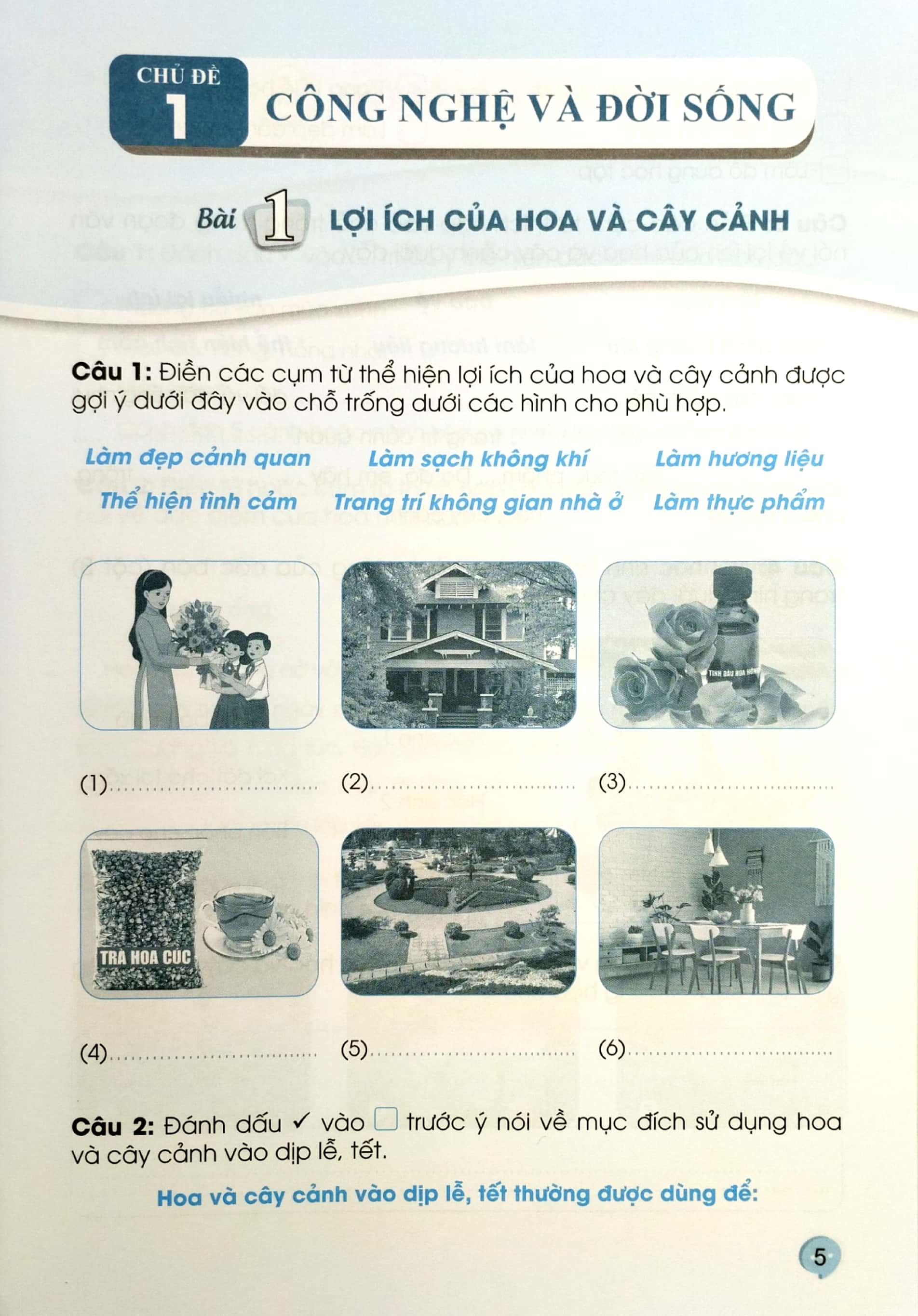 bộ vở bài tập công nghệ 4 (cánh diều) (chuẩn) - Ảnh 5