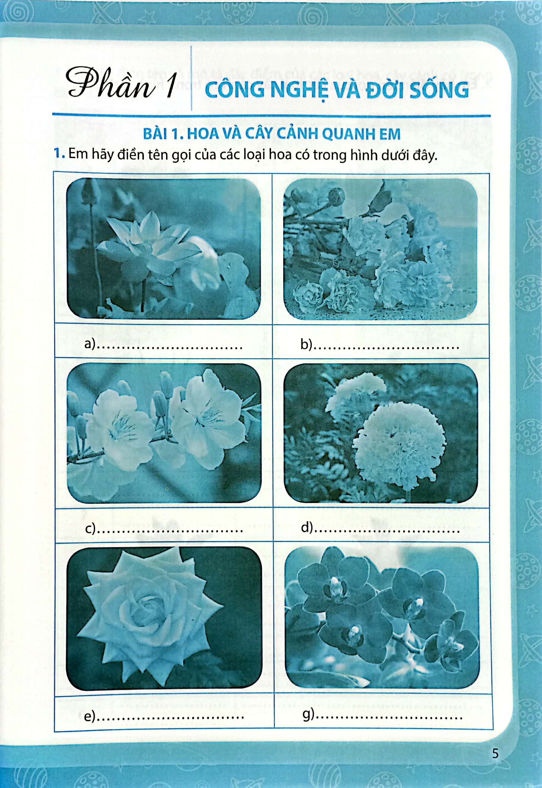 bộ vở bài tập công nghệ 4 (chân trời) (chuẩn) - Ảnh 4