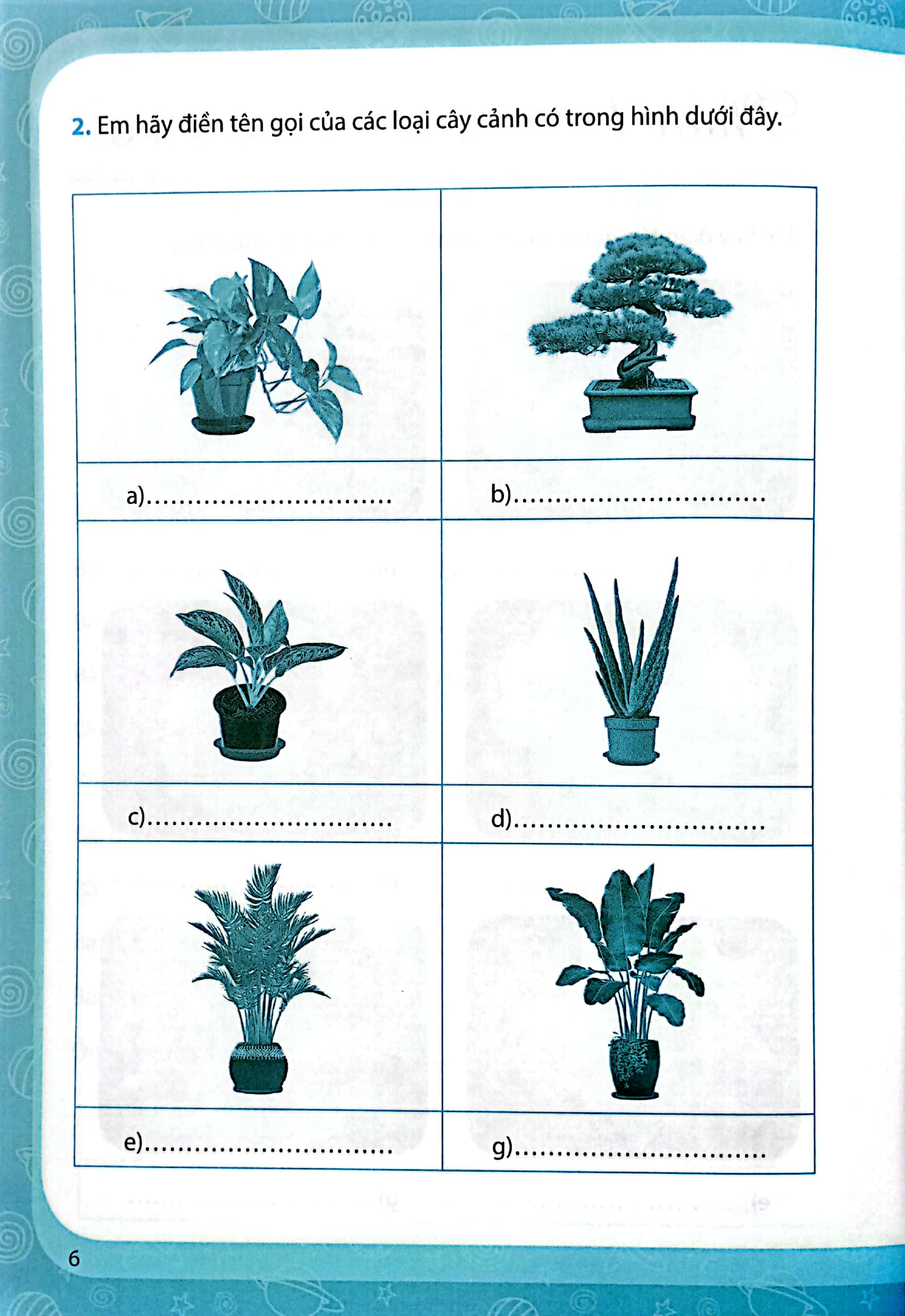 bộ vở bài tập công nghệ 4 (chân trời) (chuẩn) - Ảnh 5