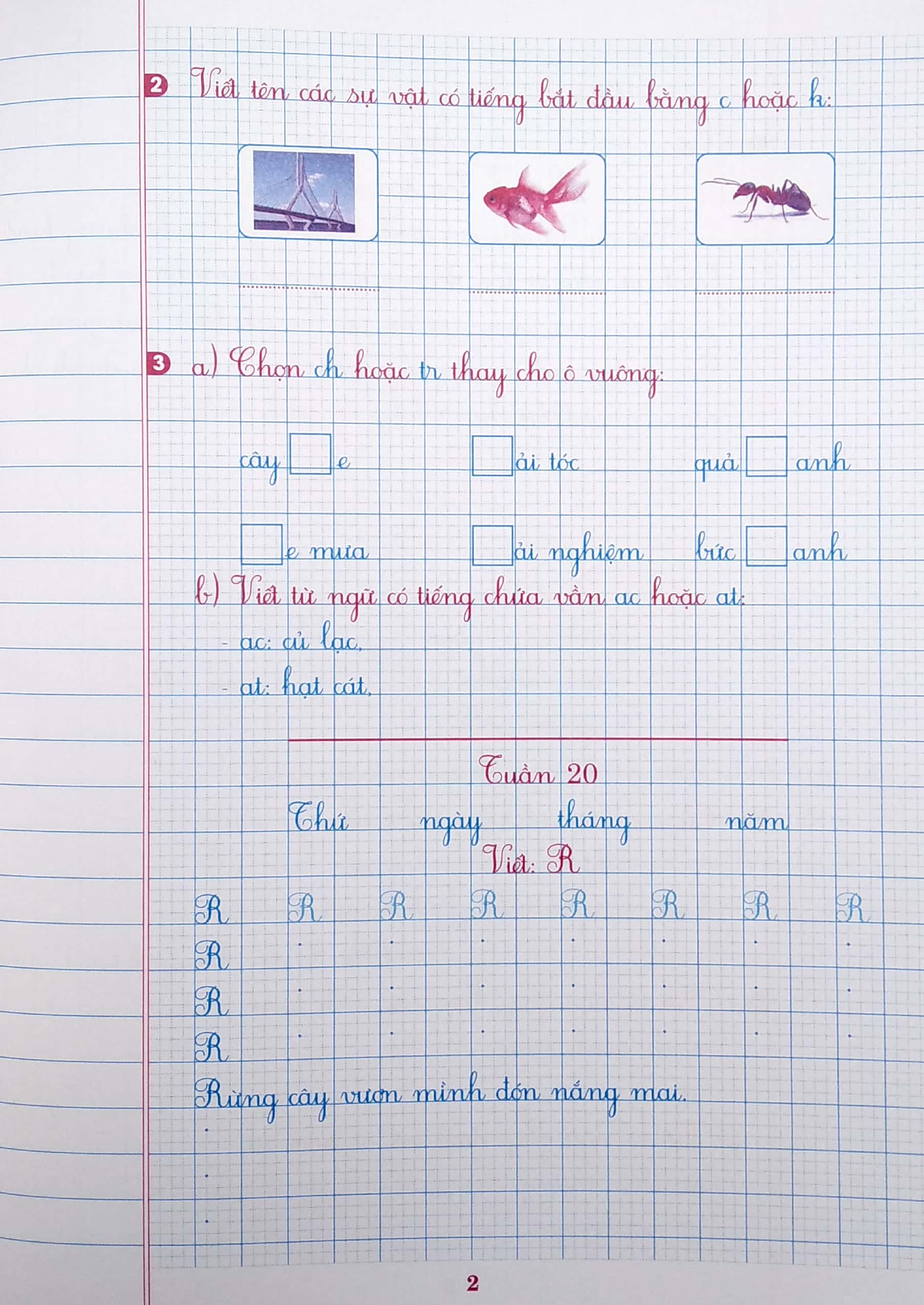 bộ vở chính tả lớp 2 - quyển 2 (theo kết nối tri thức với cuộc sống) - Ảnh 4