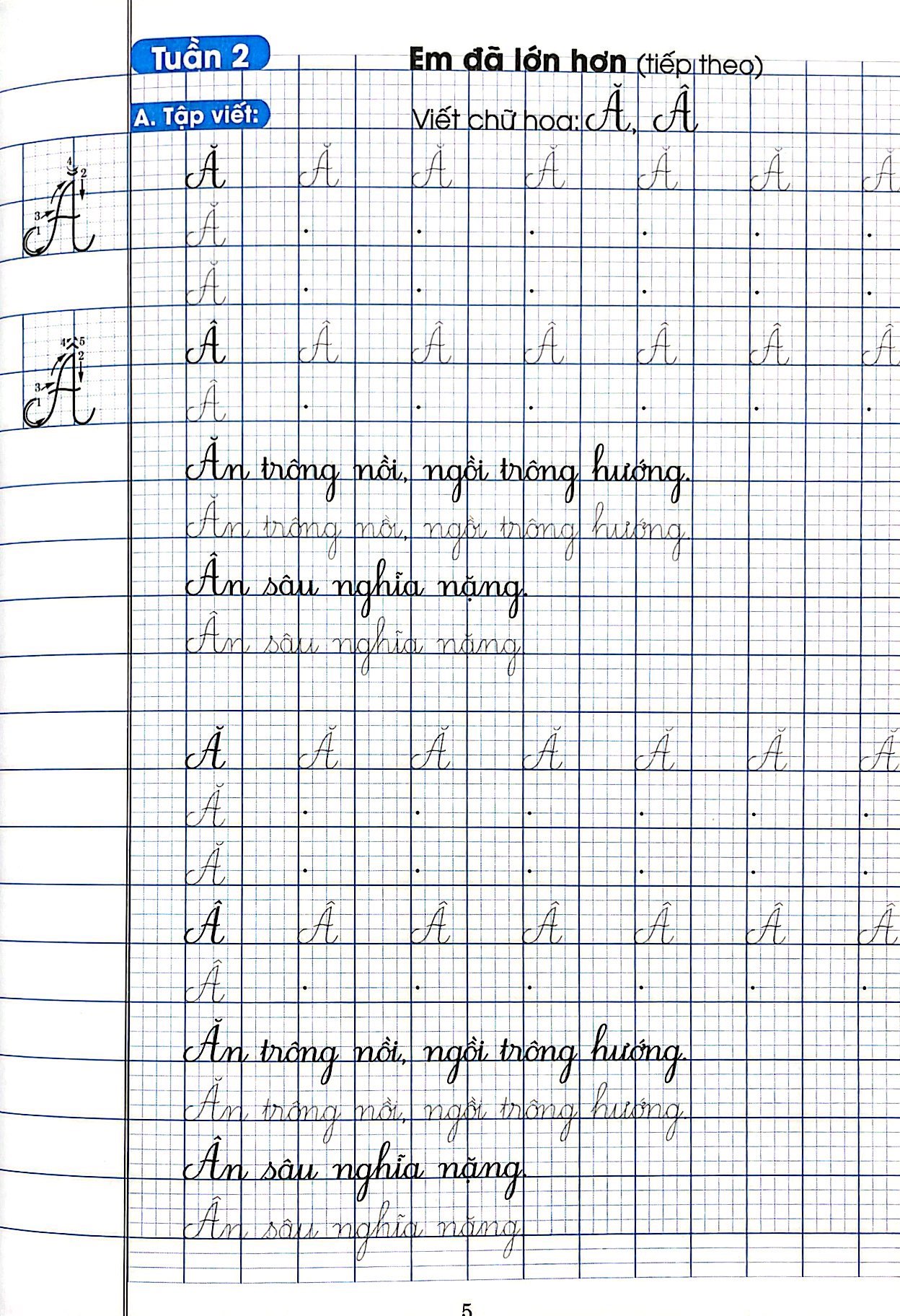 bộ vở luyện viết lớp 2 - tập 1 (chân trời sáng tạo) - Ảnh 6