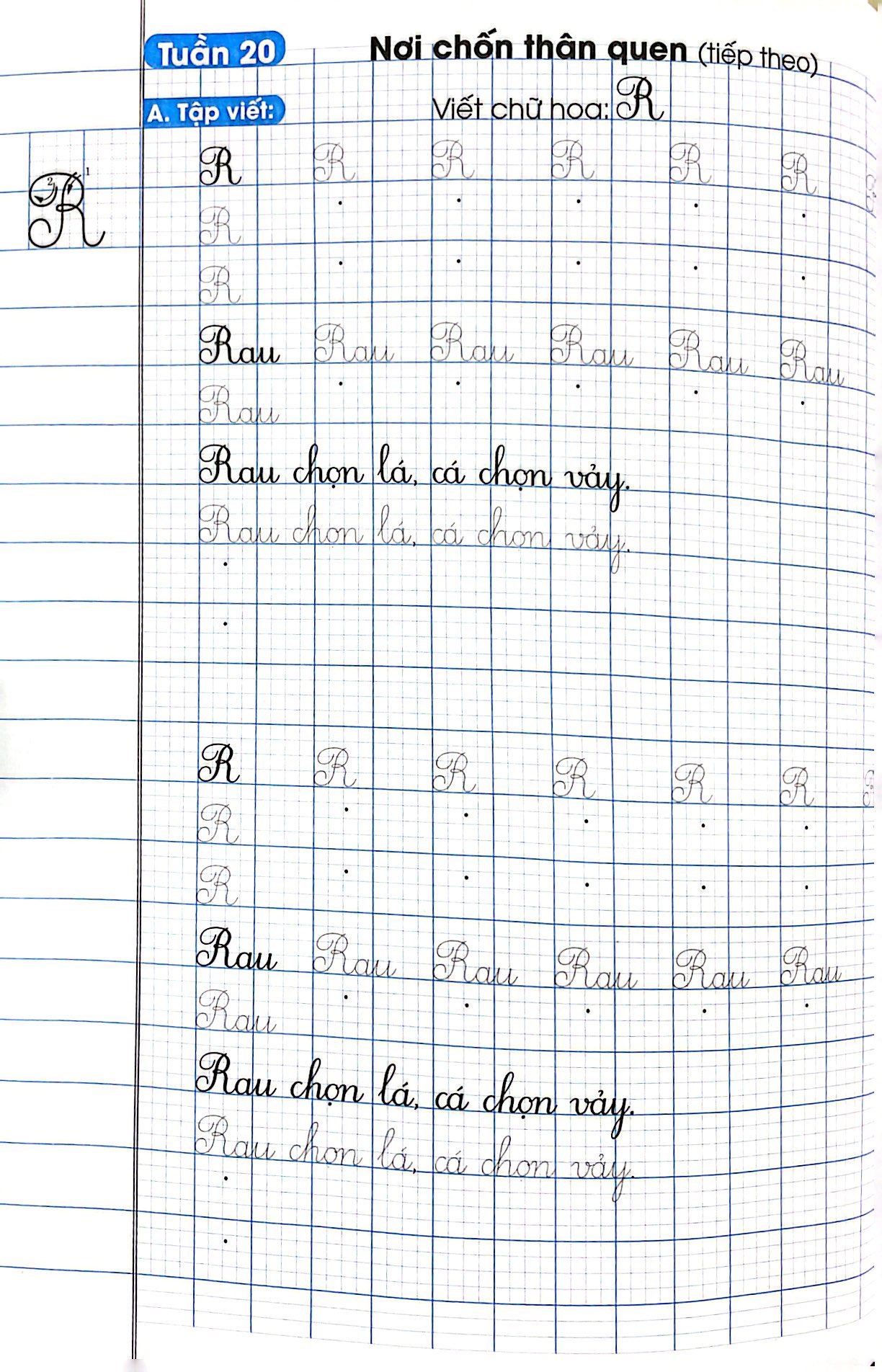 bộ vở luyện viết lớp 2 - tập 2 (chân trời sáng tạo) - Ảnh 7