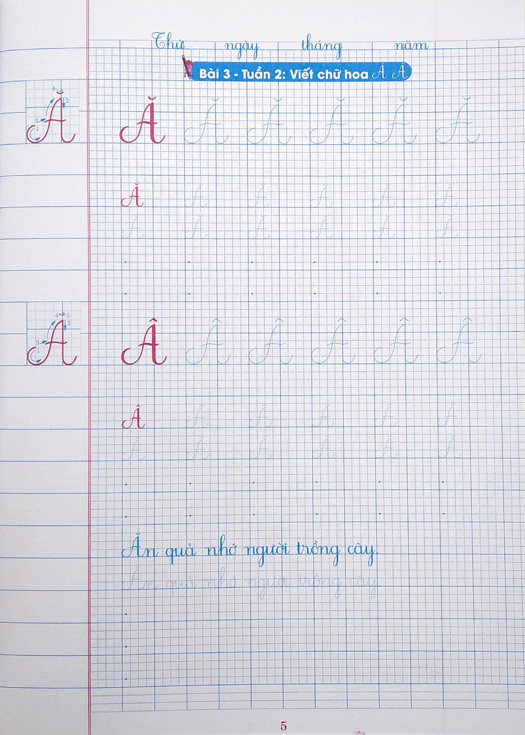 bộ vở ô li có chữ viết mẫu 2 - quyển 1 (theo kết nối tri thức với cuộc sống) - Ảnh 5