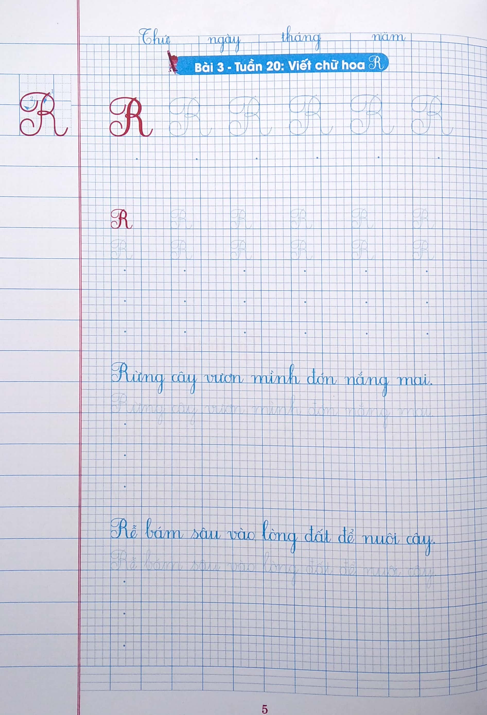 bộ vở ô li có chữ viết mẫu 2 - quyển 2 (theo kết nối tri thức với cuộc sống) - Ảnh 5