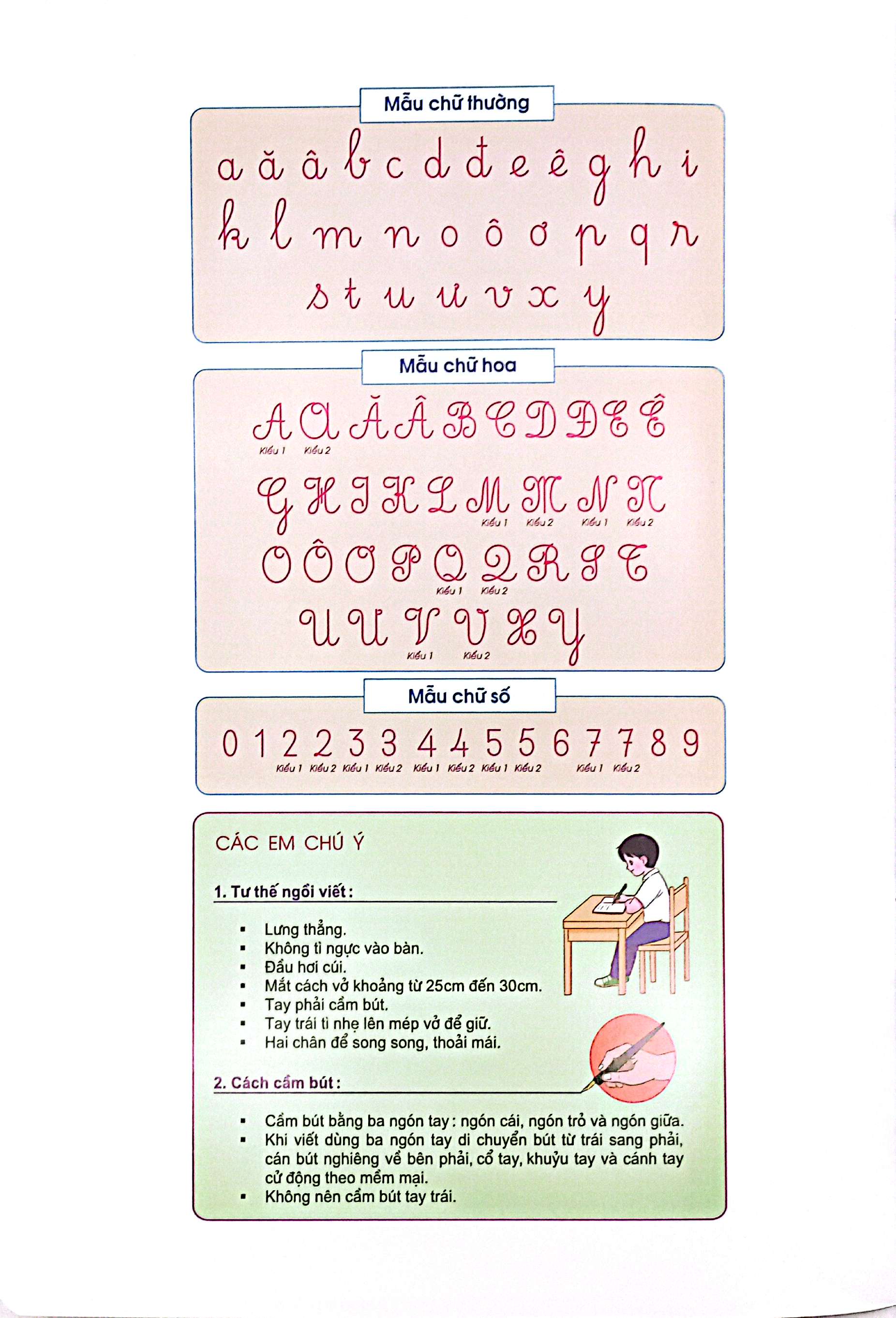 Bộ Vở Ô Li Có Mẫu Chữ 1 - Quyển 3 ( Kết Nối) (Tái Bản 2024) - Ảnh 3