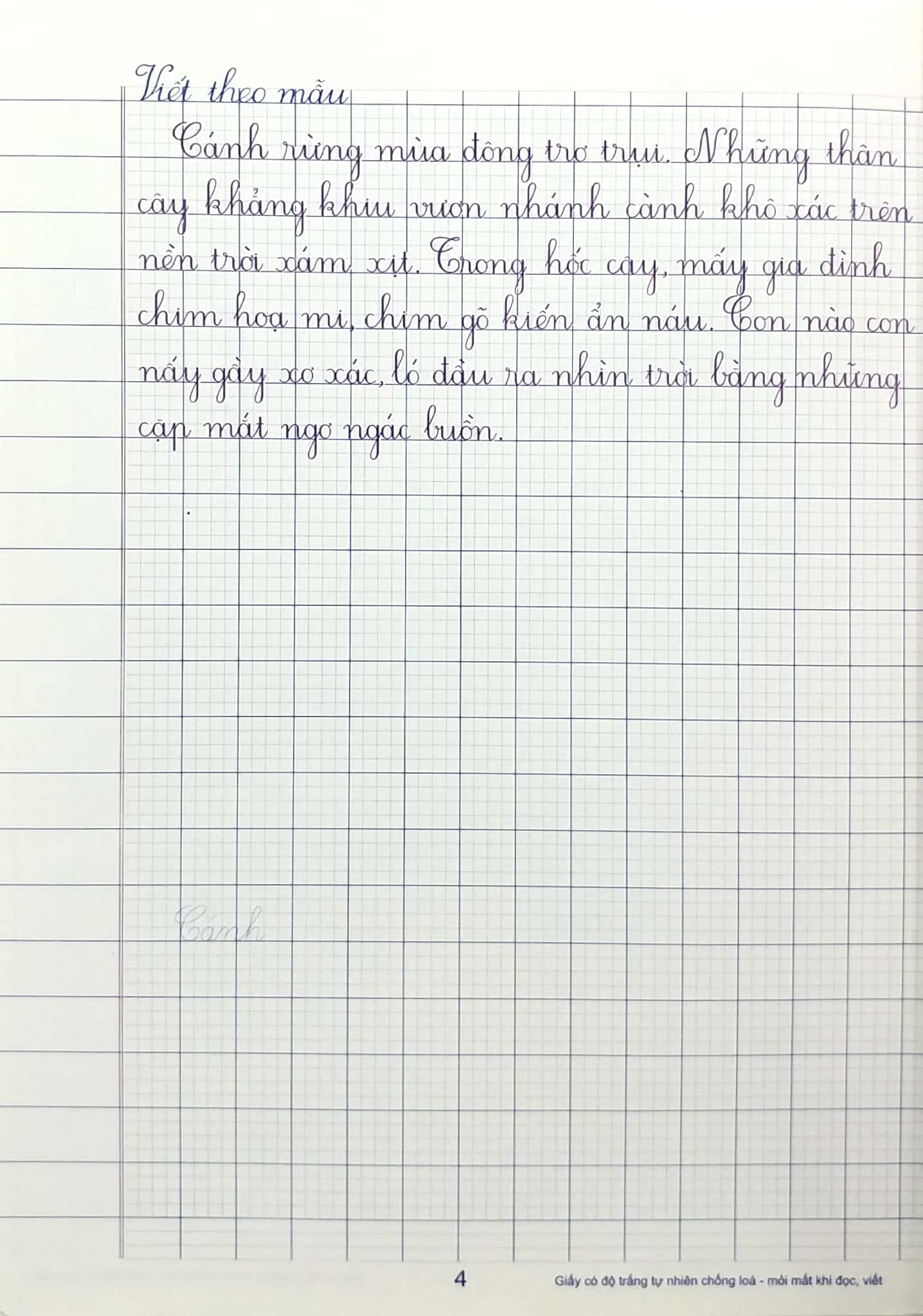 bộ vở ô li có mẫu chữ 5 - tập 2 - Ảnh 7