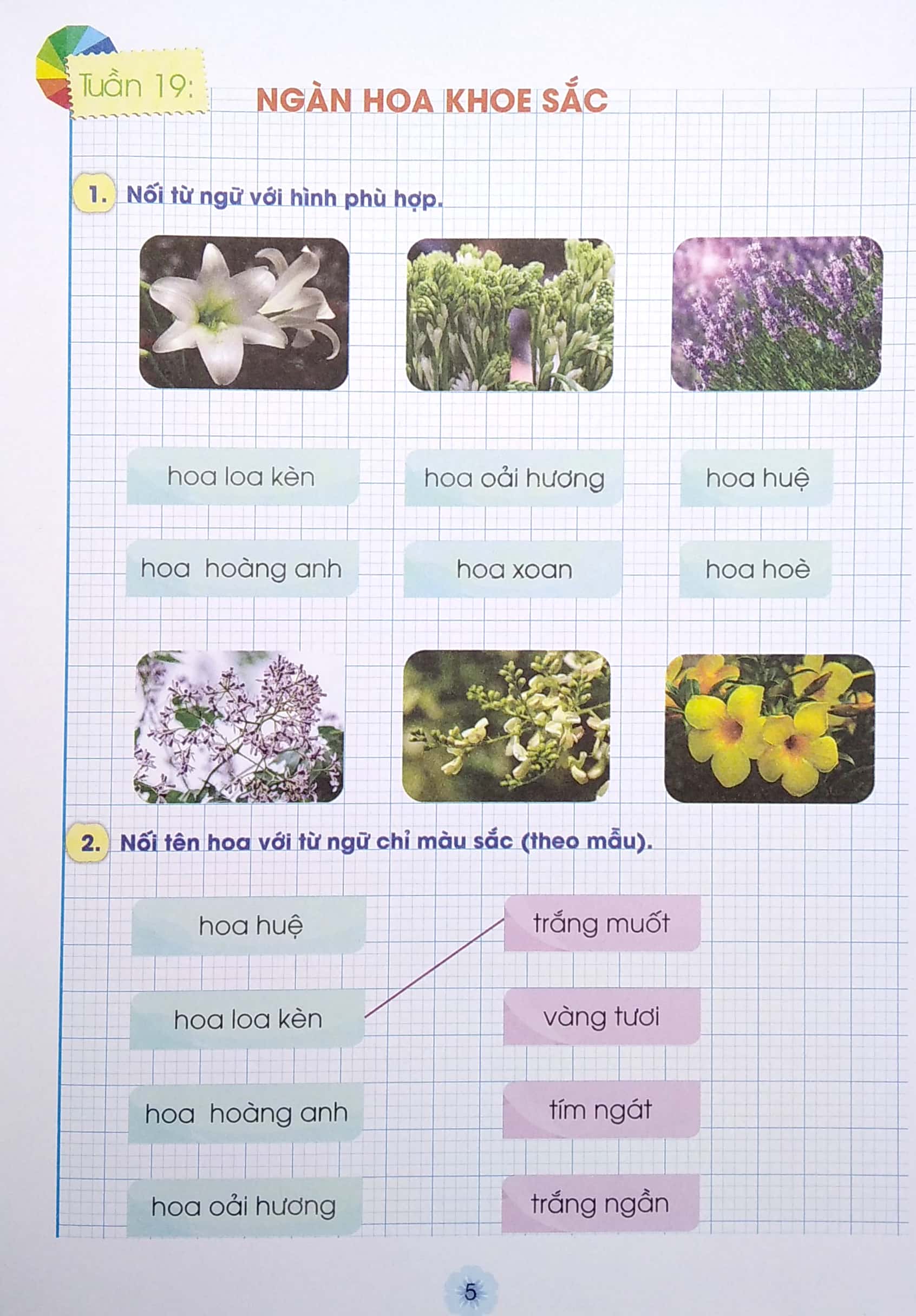 bộ vui học từ và câu lớp 1 - tập 2 (bộ sách chân trời sáng tạo) - Ảnh 5