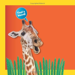 bộ weird but true! 3 - Ảnh 4