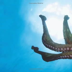 bộ weird but true! 3 - Ảnh 5