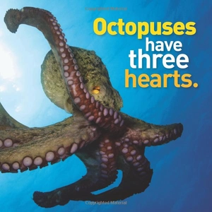 bộ weird but true! 3 - Ảnh 6