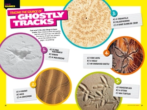 bộ weird but true!: ripped from the headlines 3: real-life stories you have to read to believe - Ảnh 4