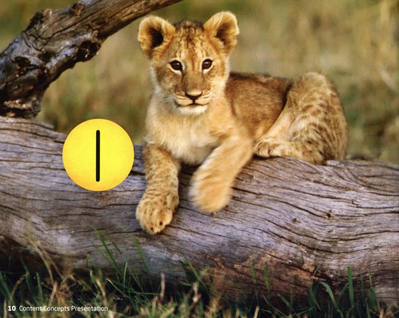 bộ welcome to our world: student book 1 - Ảnh 4