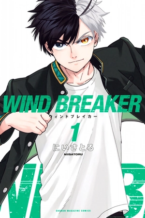 bộ wind breaker 1 - Ảnh 2