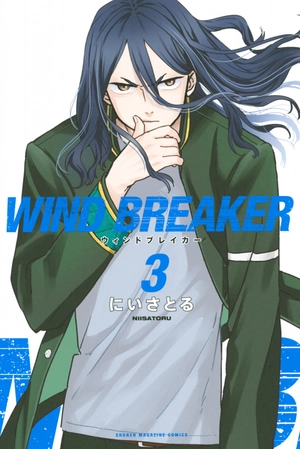 bộ wind breaker 3 - Ảnh 2