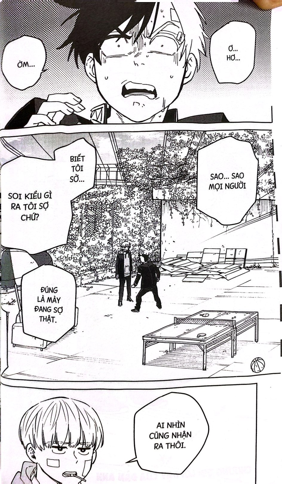 Bộ Wind Breaker - Tập 8 - Ảnh 5