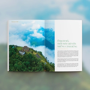 bộ wowweekend - vol 11 - ấn phẩm “xu hướng bền vững” - Ảnh 7