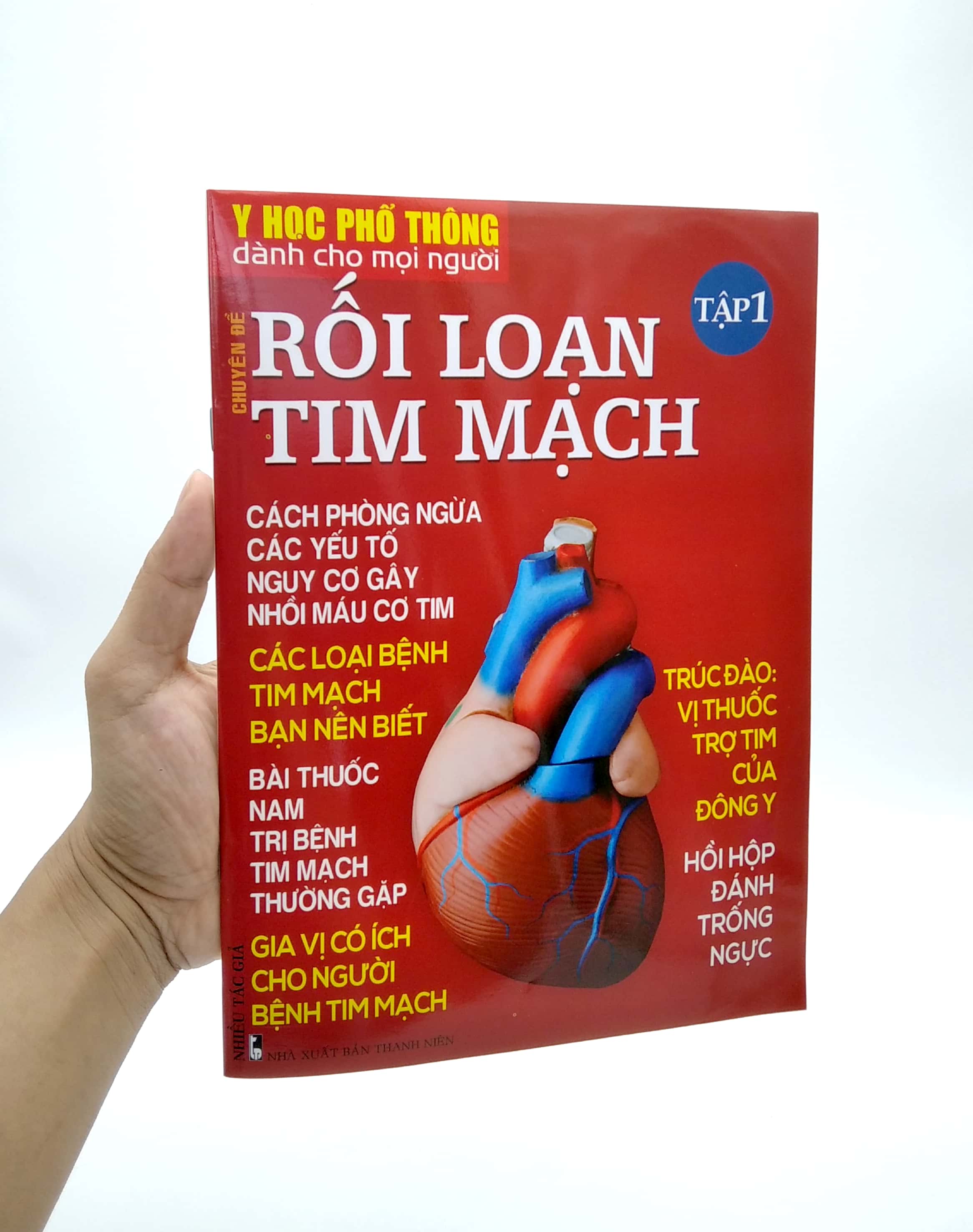 bộ y học phổ thông dành cho mọi người - chuyên đề: rối loạn tim mạch 1 - Ảnh 7
