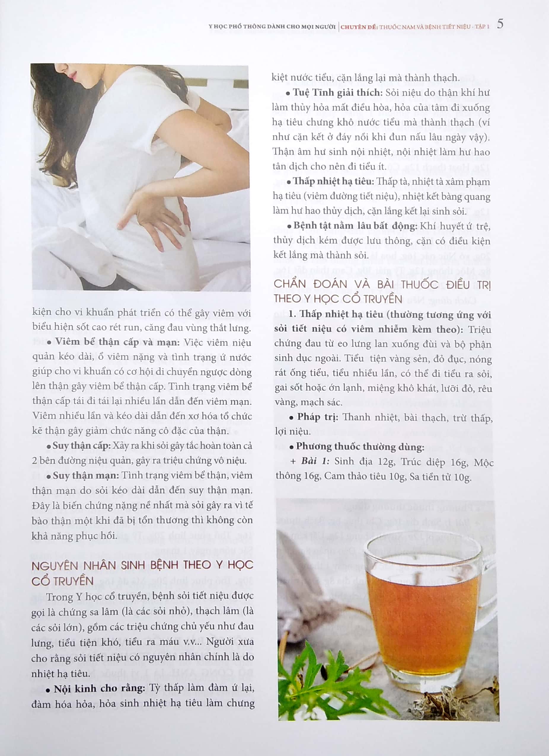 bộ y học phổ thông dành cho mọi người - chuyên đề: thuốc nam và bệnh tiết niệu (tập 1) - Ảnh 5