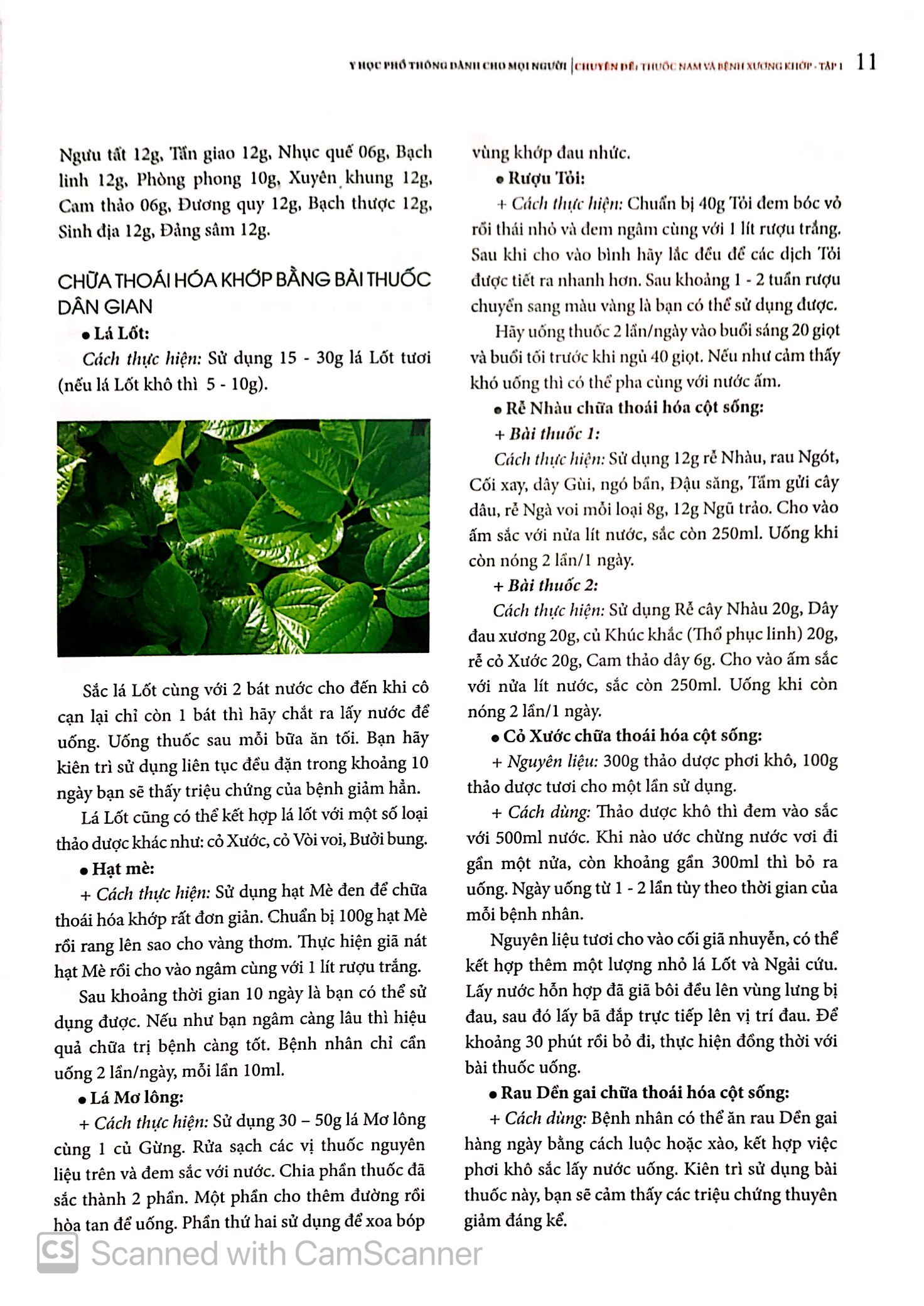 bộ y học phổ thông dành cho mọi người - chuyên đề: thuốc nam và xương khớp - tập 1 - Ảnh 12