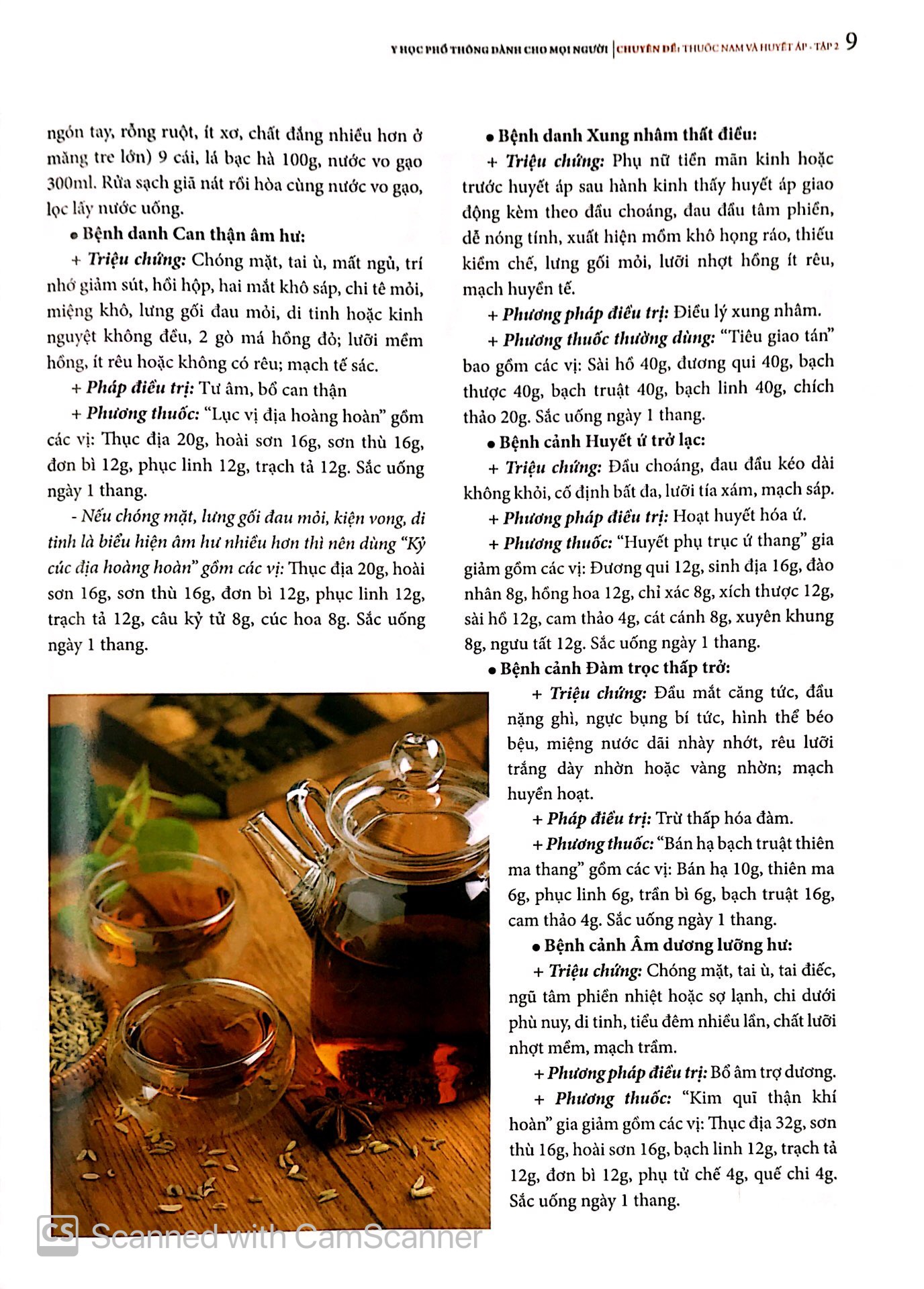 bộ y học phổ thông - thuốc nam và huyết áp (tập 2) - Ảnh 17