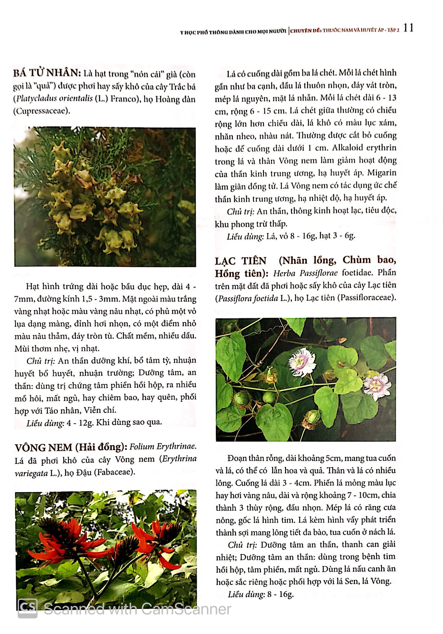 bộ y học phổ thông - thuốc nam và huyết áp (tập 2) - Ảnh 20