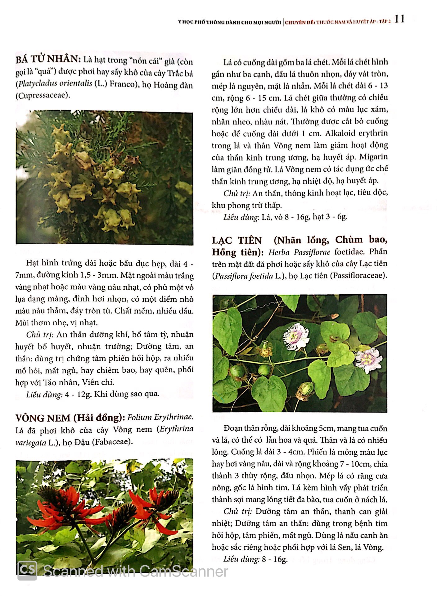 bộ y học phổ thông - thuốc nam và huyết áp (tập 2) - Ảnh 21