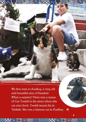 bộ young eli readers real lives - doruk's cats - stage 4 a2 - downloadable multimedia files - Ảnh 8